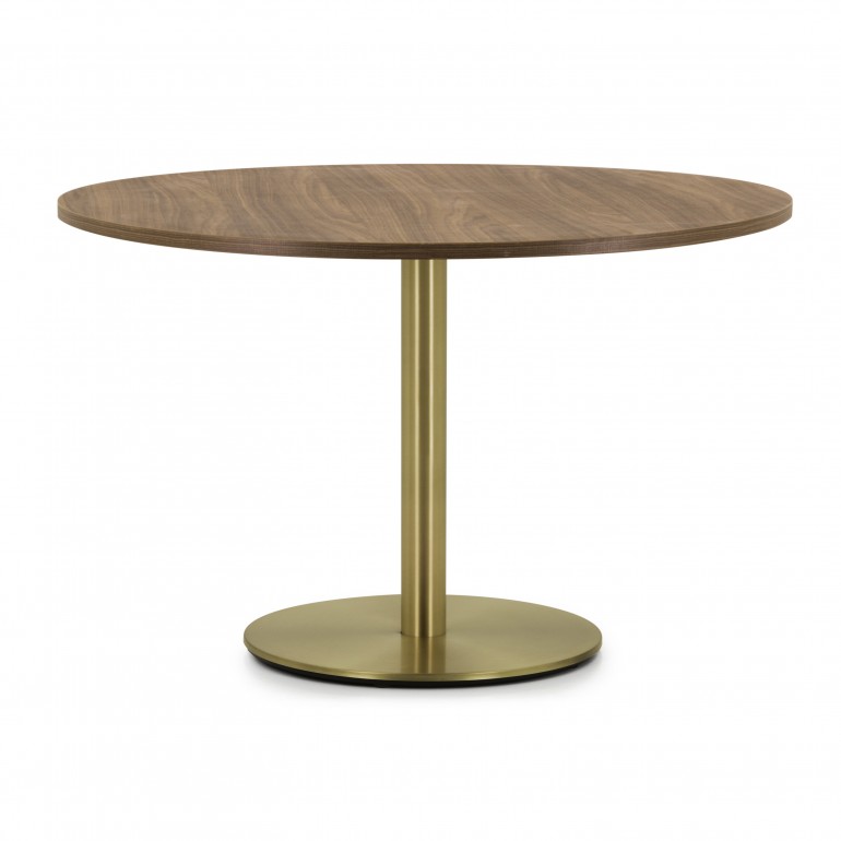 contemporary style table with metal structure